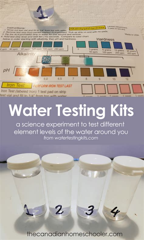 bottled water taste test science fair|drinking bottled water.